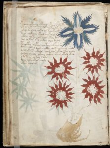 Voynich Manuscript text with symbols 