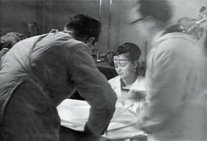 Nina Kulagina the Psychic and the Soviet Experiments in Psychokinesis 43 Nina Kulagina the Psychic frog experiment