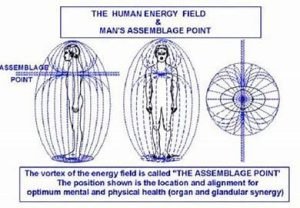 The Cosmic Egg Myth cocoon assemblage point 