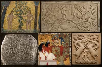 The World Tree Myth Across Ancient Cultures 77