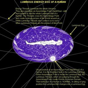 The Cosmic Egg Myth cocoon of humans 