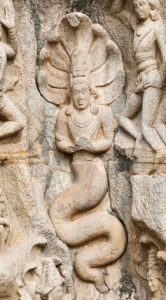 Ancient Serpents India