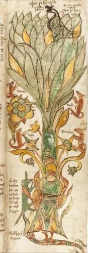 The World Tree Myth Norse 