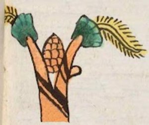 Pine Cone Symbolism: The Mysterious Motif Across Ancient Civilizations 45 Pine cone symbolism ancient mexico 1500's